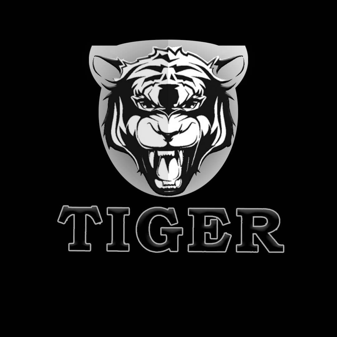 TIGER VINA HOUSE album art