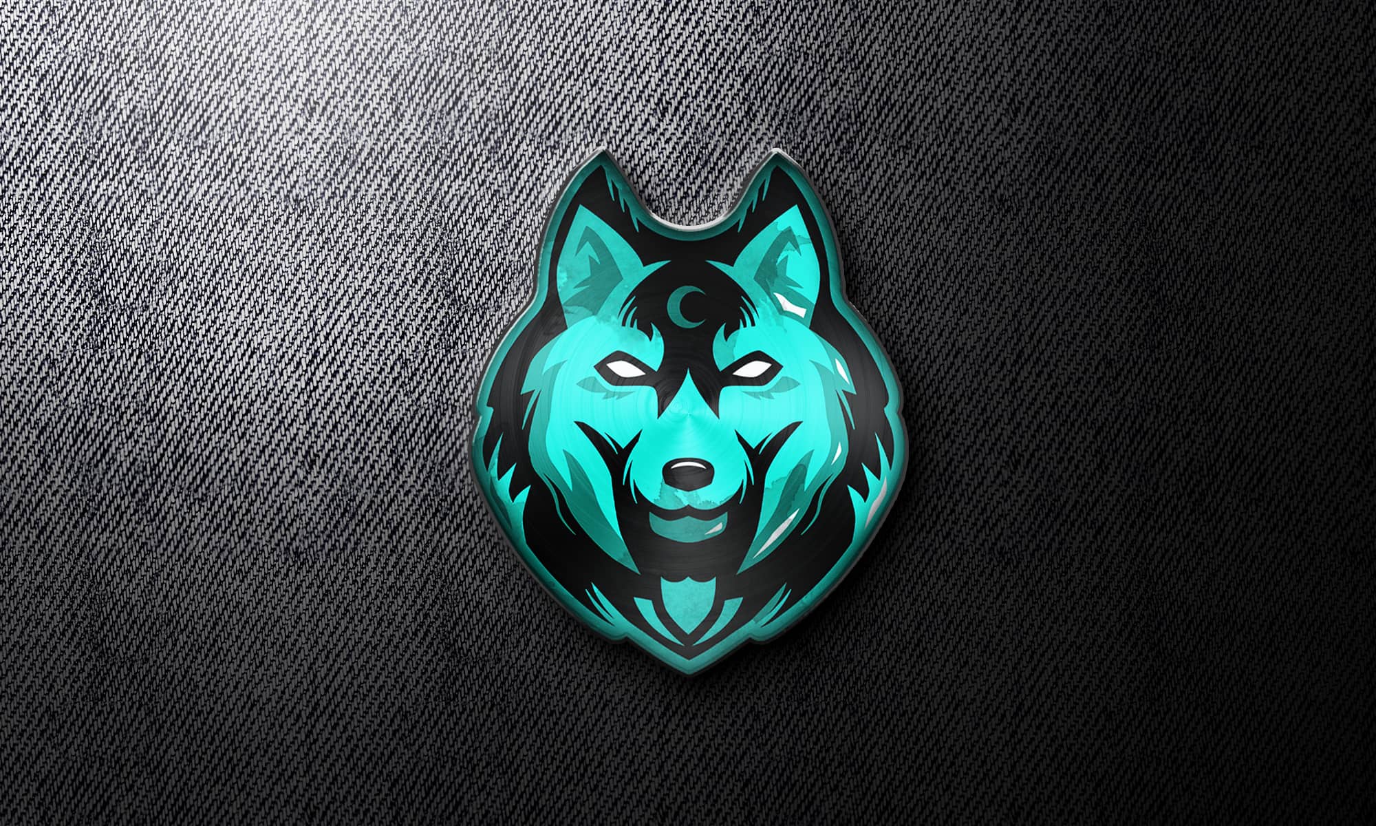 H!VE Special VINA album art