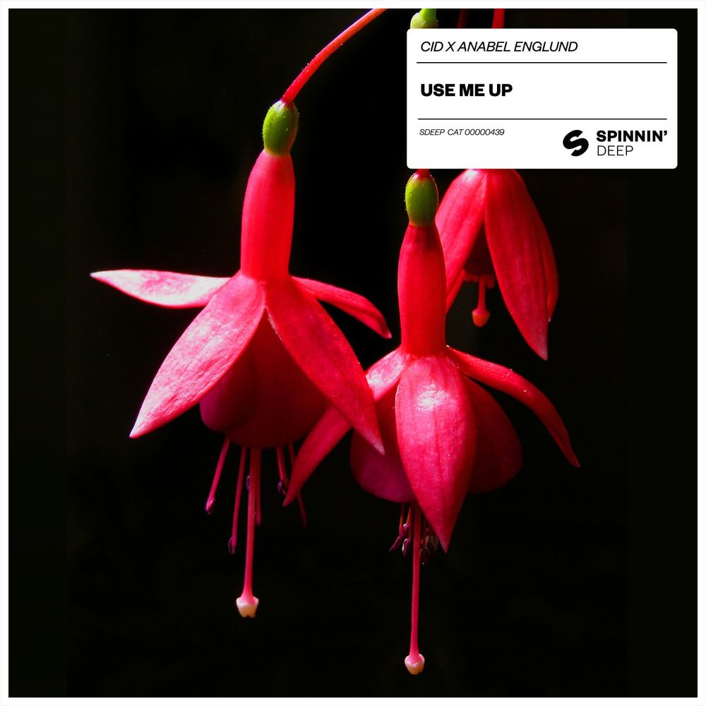 Use Me Up (Original Mix)