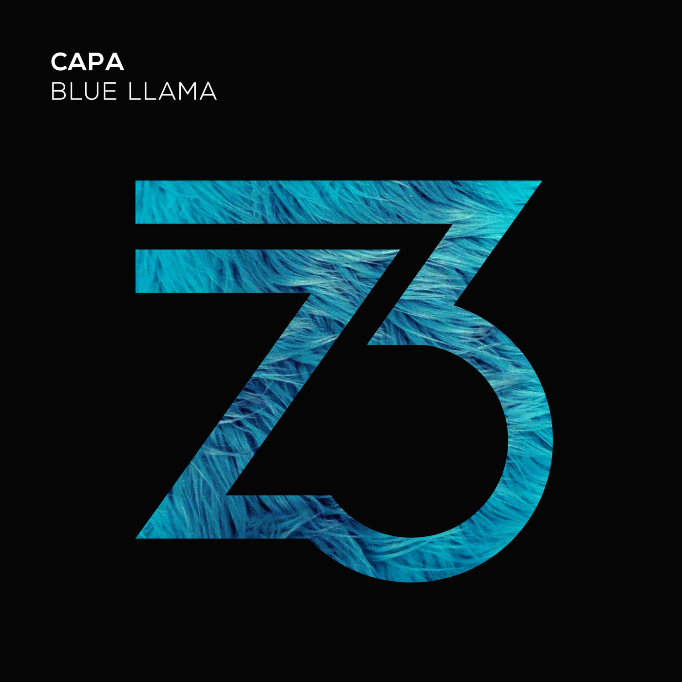 Blue Llama (Extended Mix)