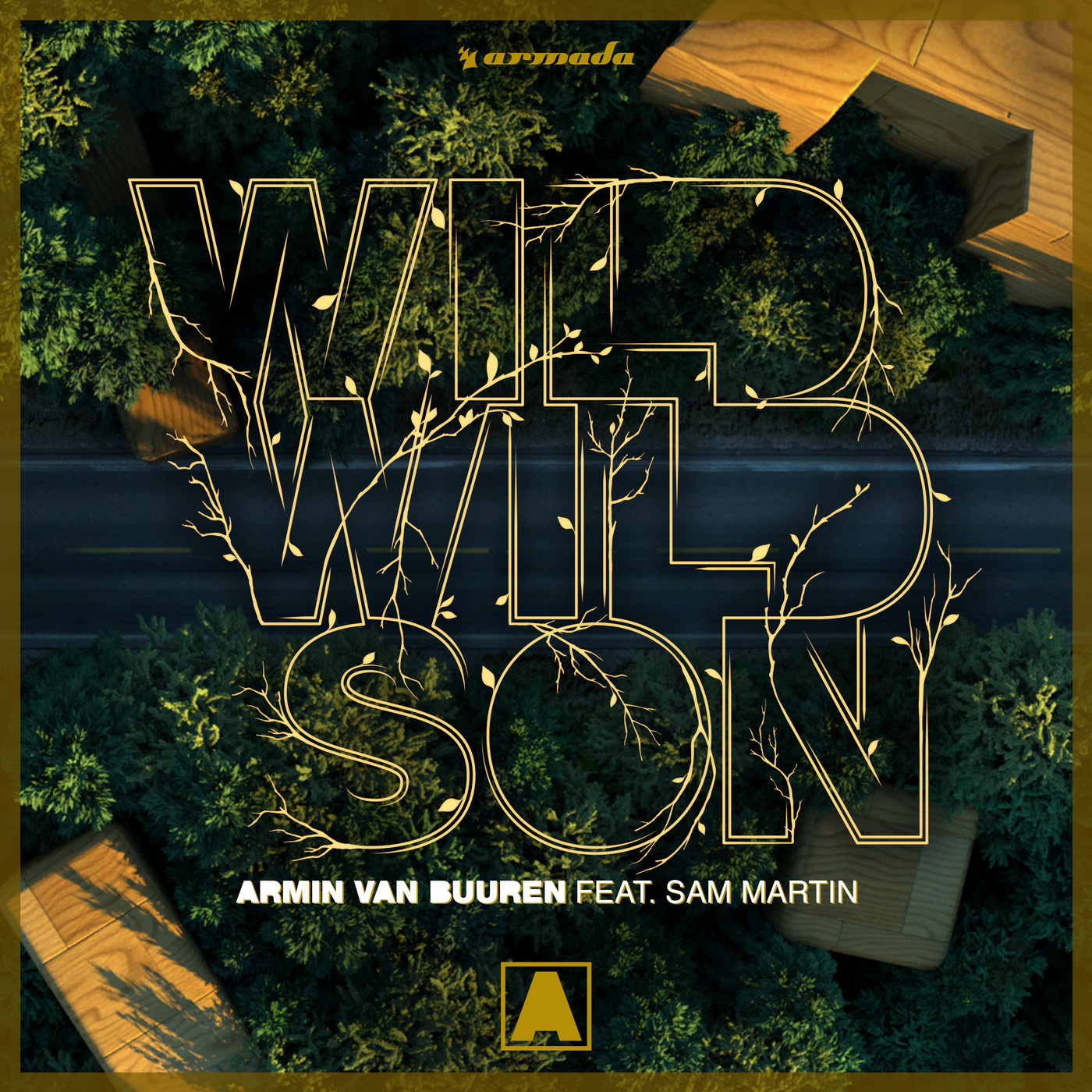 Wild Wild Son (Original Mix)
